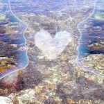 A heart divided in two A heart divided in two