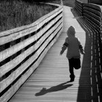 The Journey
